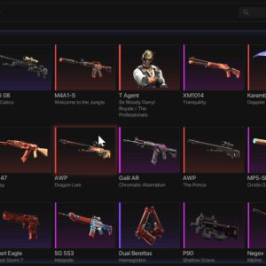 MesaChanger for CS2 - Inventory Changer